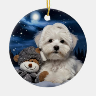 Havanese kerst, hondenherdenkingsgeschenk, hondenl keramisch ornament