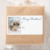 Havanese kerstcadeaulabels etiket (Insitu)