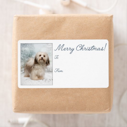 Havanese kerstcadeaulabels etiket (Insitu)