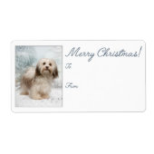 Havanese kerstcadeaulabels etiket (Voorkant)