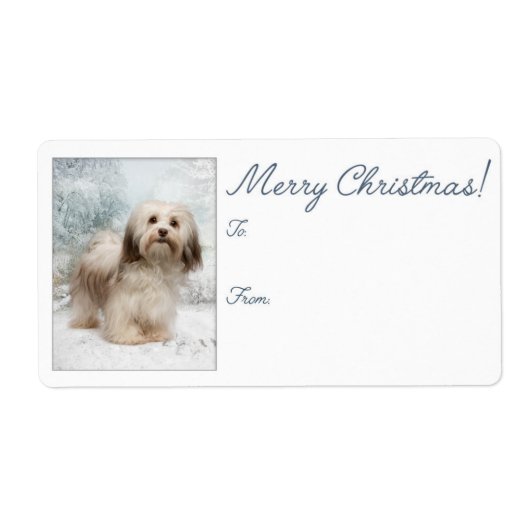 Havanese kerstcadeaulabels etiket (Voorkant)