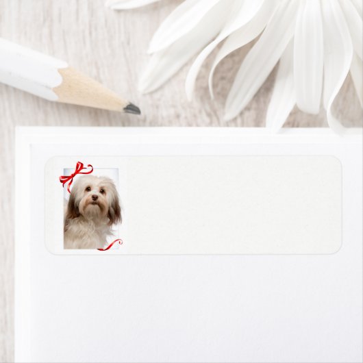 Havanese kerstcadeaulabels etiket (Insitu)