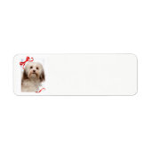 Havanese kerstcadeaulabels etiket (Voorkant)