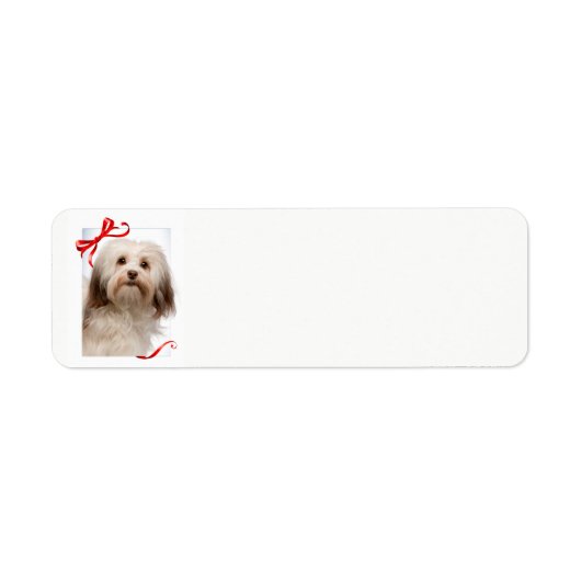 Havanese kerstcadeaulabels etiket (Voorkant)