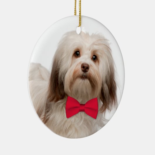 Havanese kerstversiering keramisch ornament (Rechts)