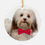 Havanese kerstversiering keramisch ornament (Voorkant)