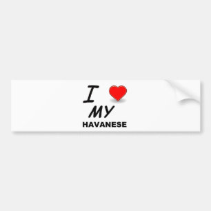 havanese liefde bumpersticker