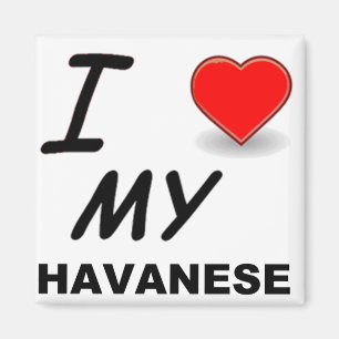 havanese liefde magneet