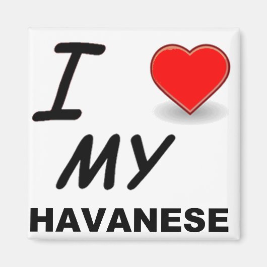 havanese liefde magneet (Voorkant)