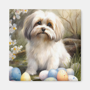 Havanese met Pasen Eieren Magneet