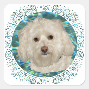 Havanese op turquoise water vierkante sticker