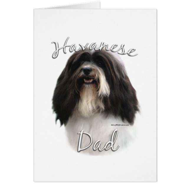 Havanese pa 2 (Voorkant)