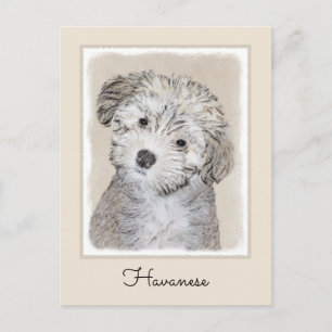 Havanese papaverschilderijen - Kute Original Dog A Briefkaart