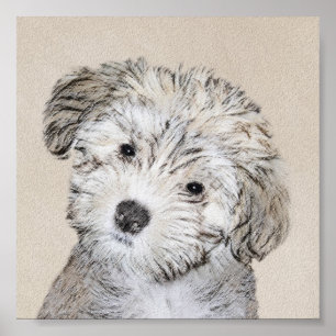 Havanese papaverschilderijen - Kute Original Dog A Poster