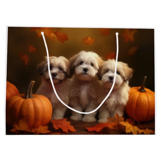 Havanese Puppy Herfst Delight Pompoen Groot Cadeauzakje (Achterkant)