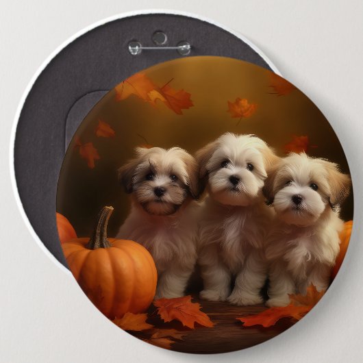Havanese Puppy Herfst Delight Pompoen Ronde Button 6,0 Cm (Voorkant /achterkant)