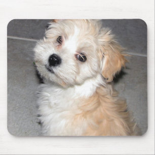 Havanese Puppy Muismat
