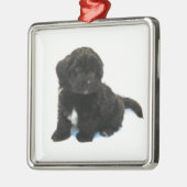 ***Havanese puppy** Ornament (Links)