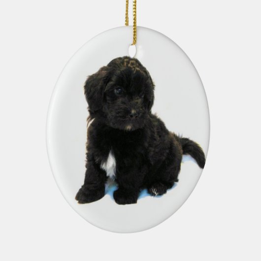 Havanese Puppy Ornament (Rechts)