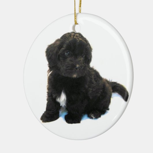 Havanese Puppy Ornament (Links)