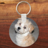 Havanese Puppy Sleutelhanger (Voorkant)