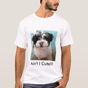 Havanese Puppy T-shirt