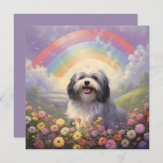 Havanese Rainbow Bridge aangepaste naam hond sympa (Voorkant / Achterkant)