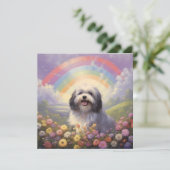 Havanese Rainbow Bridge aangepaste naam hond sympa (Staand voorkant)