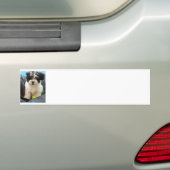 Havanese redding Puppy Black White Bumpersticker (Op auto)