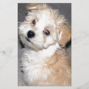 Havanese reddingspuppy tan wit briefpapier