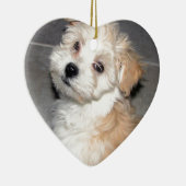 Havanese reddingspuppy tan wit keramisch ornament (Rechts)