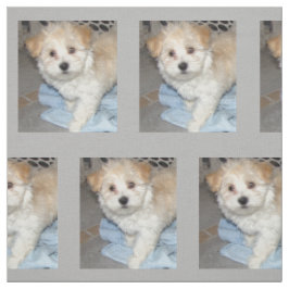 Havanese Rescue Puppt Stof