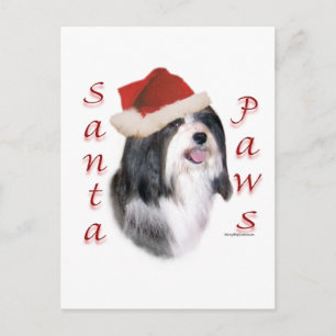 Havanese Santa Paws Feestdagenkaart