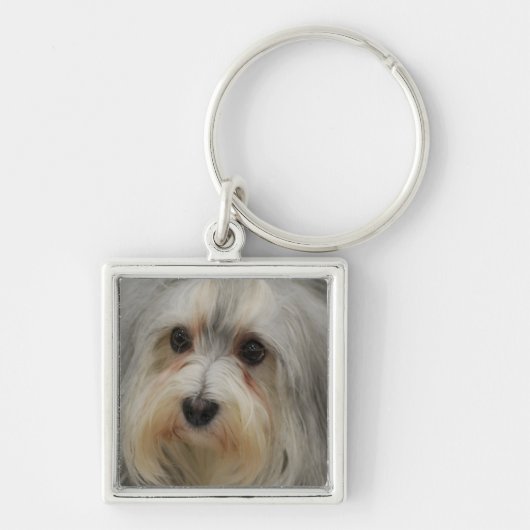 Havanese Sleutelhanger (Voorkant)