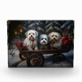 Havanese Sneeuwslee Kerst Decor Fotoblokken (Voorkant)