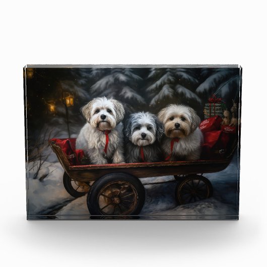 Havanese Sneeuwslee Kerst Decor Fotoblokken (Voorkant)