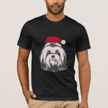 Havanese Terrier Kerstmuts Hond Groot