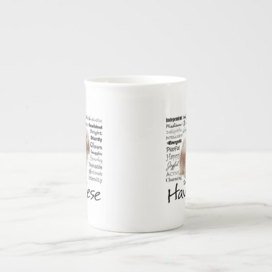 Havanese Traits Bone China Mok (Voorkant)