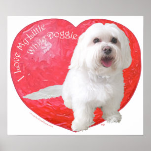 Havanese Valentijnsdag Poster