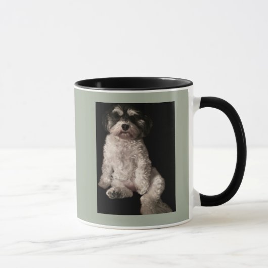 Havanese zet het afbeelding van je hond hier mok (Rechts)