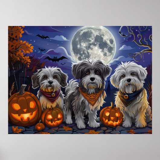 Havanezer Halloween Spooky Poster (Voorkant)