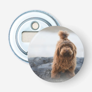 Havanezer hond, Dier, Hond Button Flesopener