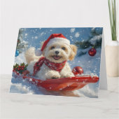 Havanezer Hond in Sledge Laat het Sneeuw Kerstmis Kaart (Voorkant)