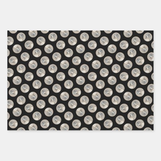 Havanezer Puppy, Havanezer, Cubaanse Bichon, Bicho Inpakpapier Vel (Voorkant 3)