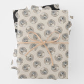 Havanezer Puppy, Havanezer, Cubaanse Bichon, Bicho Inpakpapier Vel (In situ)