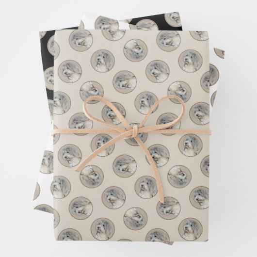 Havanezer Puppy, Havanezer, Cubaanse Bichon, Bicho Inpakpapier Vel (In situ)