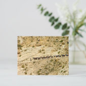 Havasu Canyon Pack Train Briefkaart (Staand voorkant)