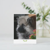 Havel arrive en Amérique Carte postale (Debout devant)