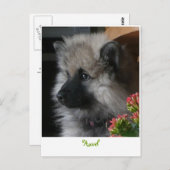 Havel arrive en Amérique Carte postale (Devant / Derrière)