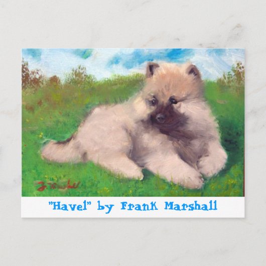 Havel by Frank Marshall Postcard Briefkaart (Voorkant)
